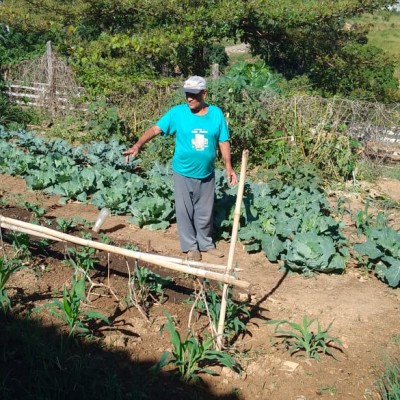 Horta orgânica garante alimentos frescos e saudáveis a moradores de Vila